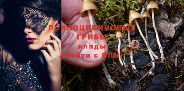 гидра Аркадак