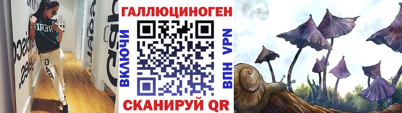 Галлюциногенные грибы GOLDEN TEACHER  купить закладку  Армянск 